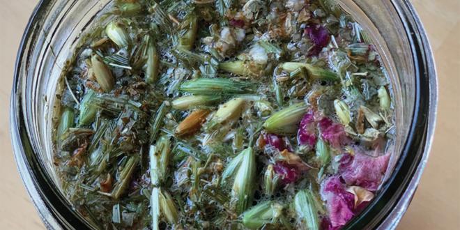 an herbal libido tea blend in a mason jar